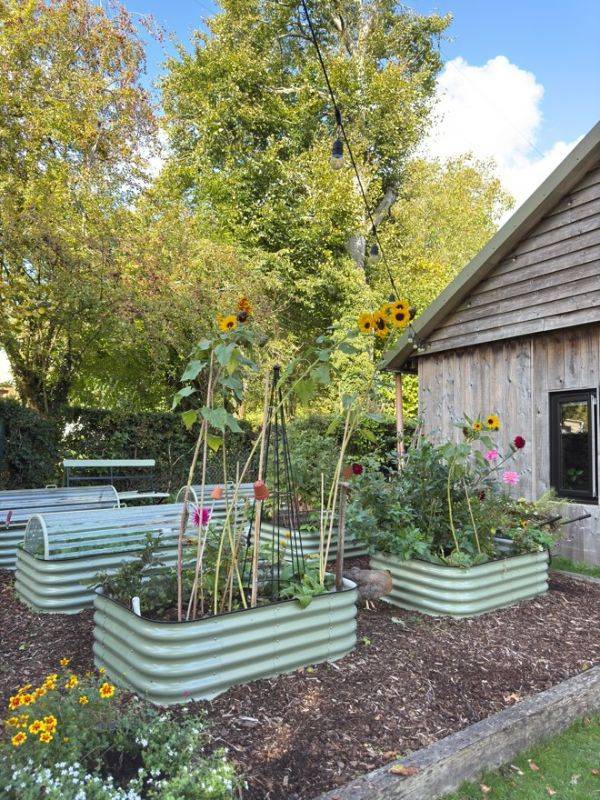 Vanessa Price Kitchen Garden Blog 5
